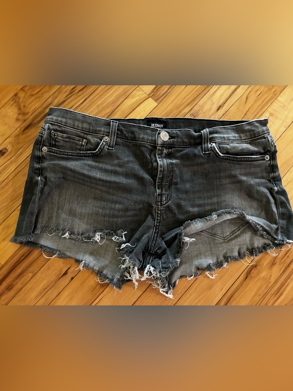 Hudson Kenzie Shorts